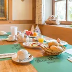 Hotell Alter Wirt 3*