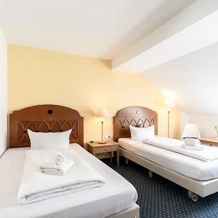 Alter Wirt Hotel 3*